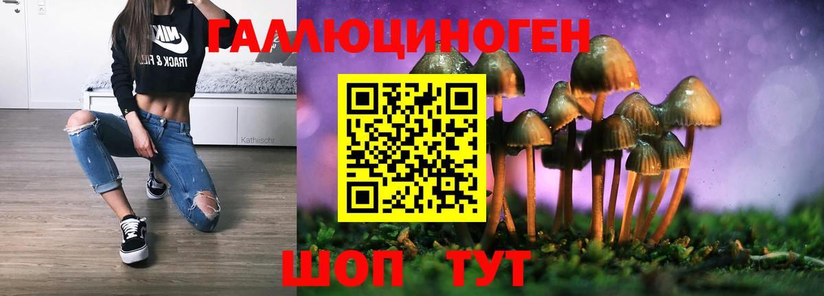 Псилоцибиновые грибы Psilocybe Арсеньев